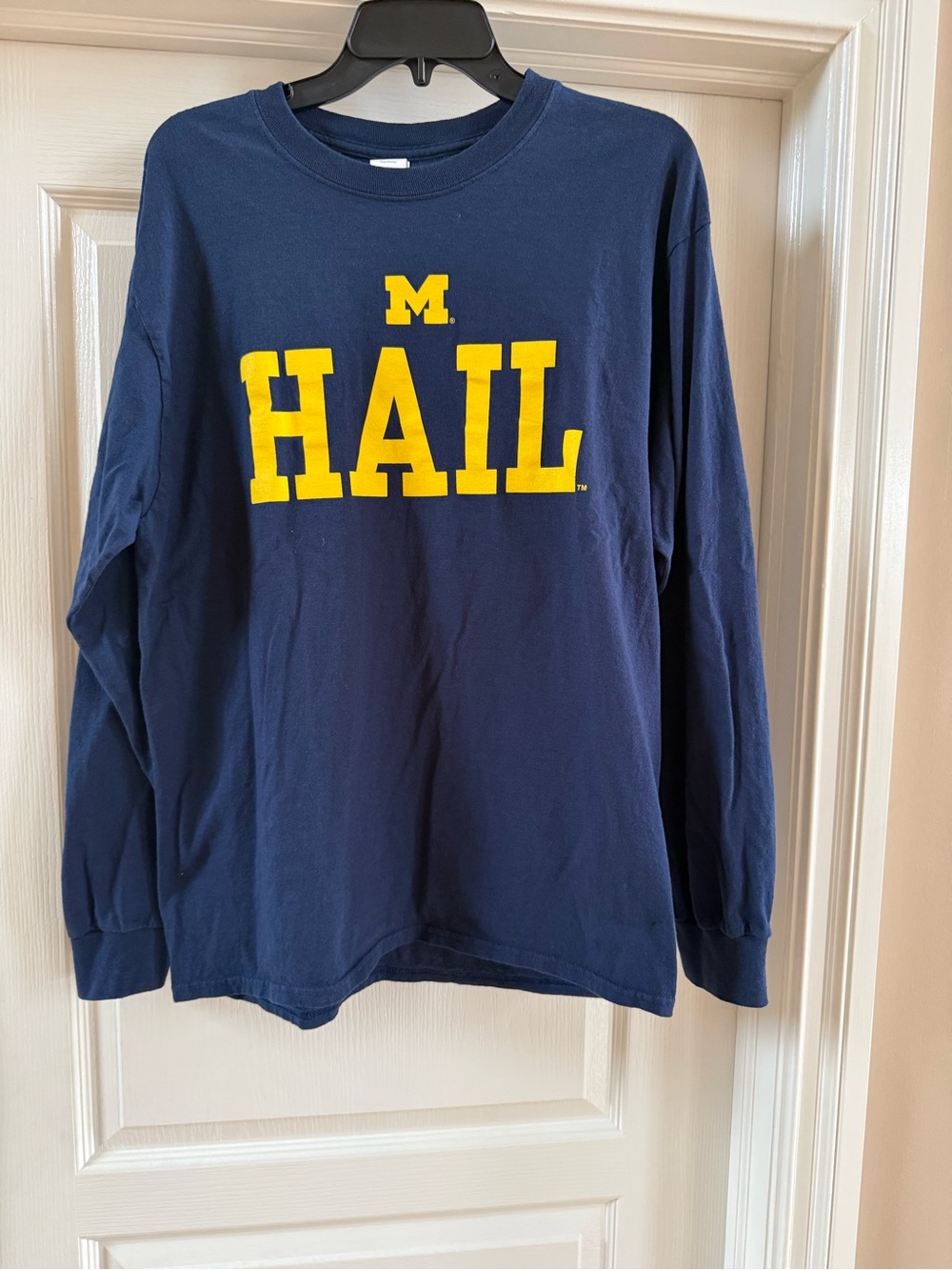 Michigan Wolverines Shirt Mens L Blue Yellow Long Sleeve Cotton Large Gildon
